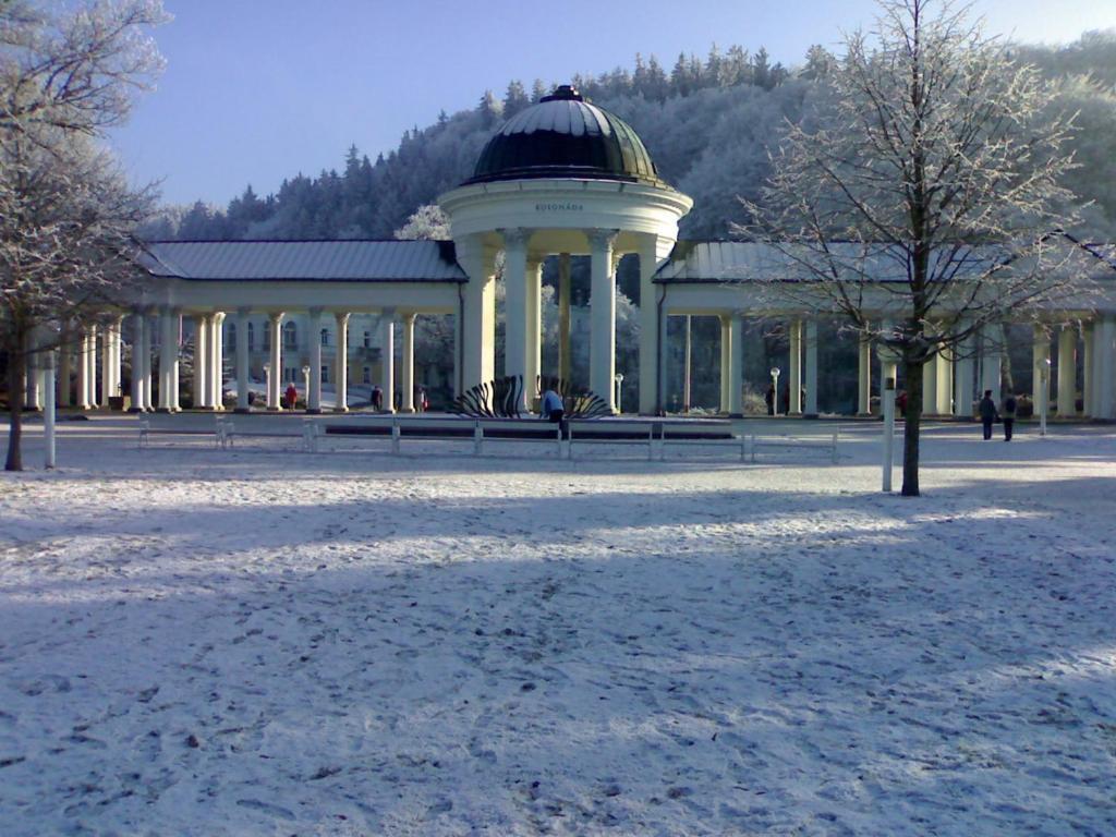 TopApartmany Lesni Mariánské Lázně Extérieur photo